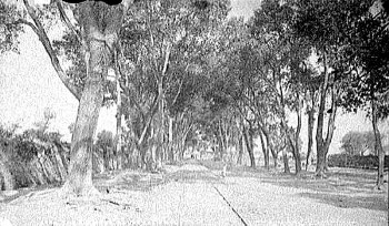 Antiguo camino que llevaba a la ahora ciudad de Aguascalientes.